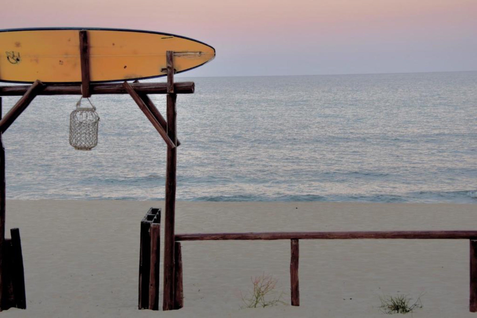 Surf de clase mundial